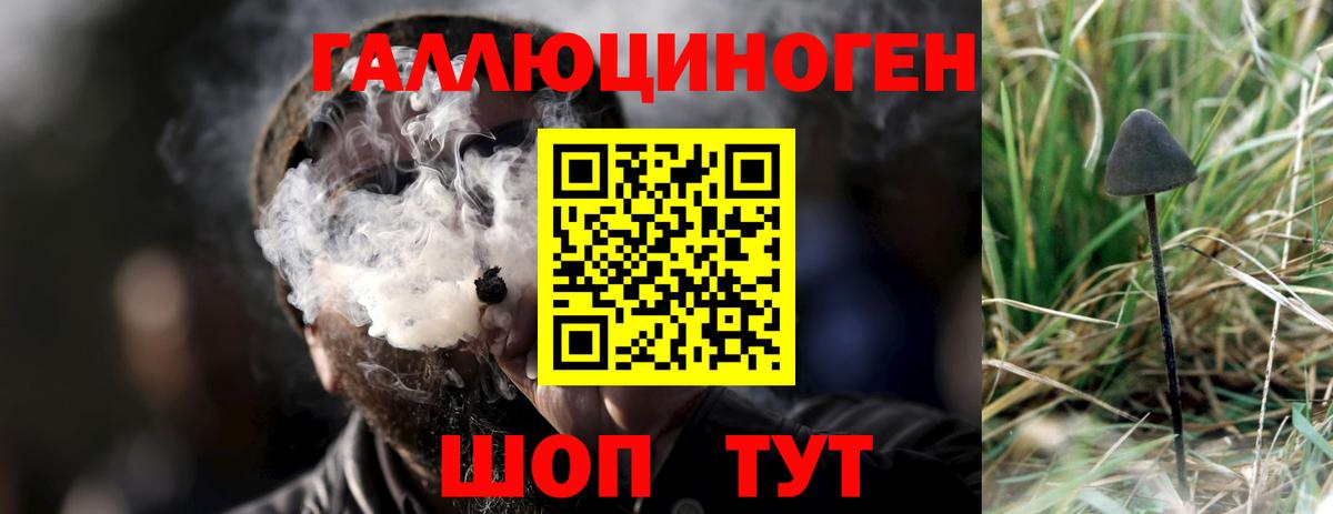 Псилоцибиновые грибы мицелий Алейск