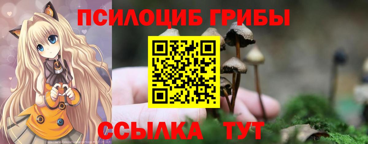 Псилоцибиновые грибы Cubensis  Вход с VPN  наркотики  Алейск 